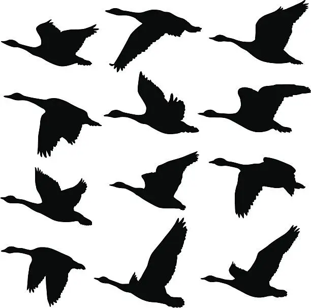 Vector illustration of Flying Geese Silhouettes