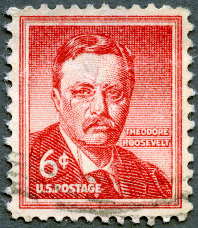 USA 1955 Postage stamp printed in United States of America shows Theodore \