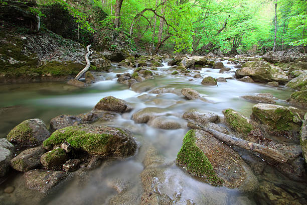 mountain river stock photo