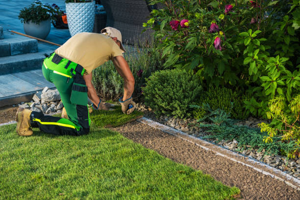 istock Landscaper Cut Natural Grass Turfs to Size 1540929410