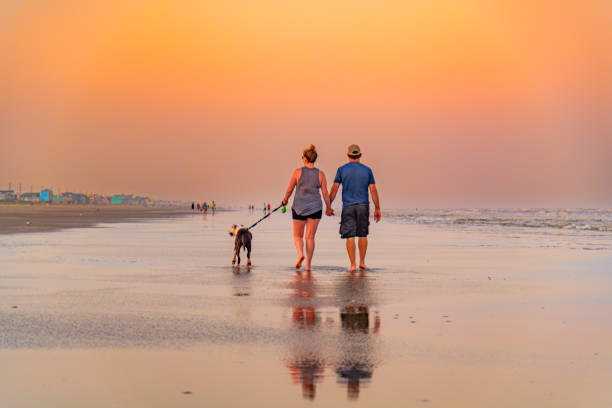 istock Couple on the Beach 1540968557