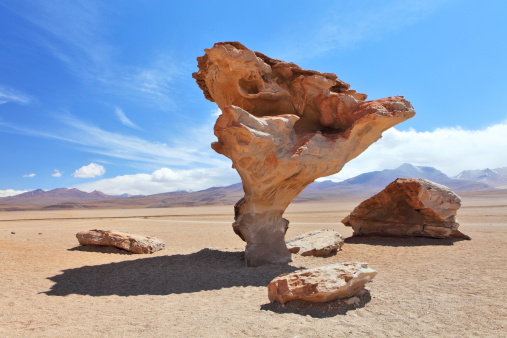 Arbol de Piedra or stone tree on Altiplano, Bolivia / Salvador Dali Rock