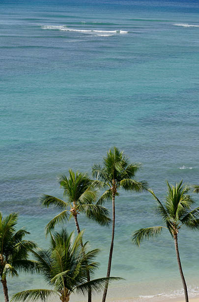 Plage d'Hawaï - Photo