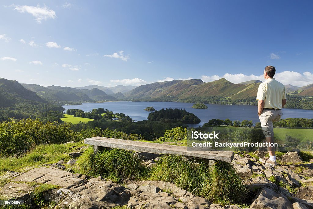 Jezioro Derwent Water z Castlehead Punkt widzenia - Zbiór zdjęć royalty-free (Keswick)