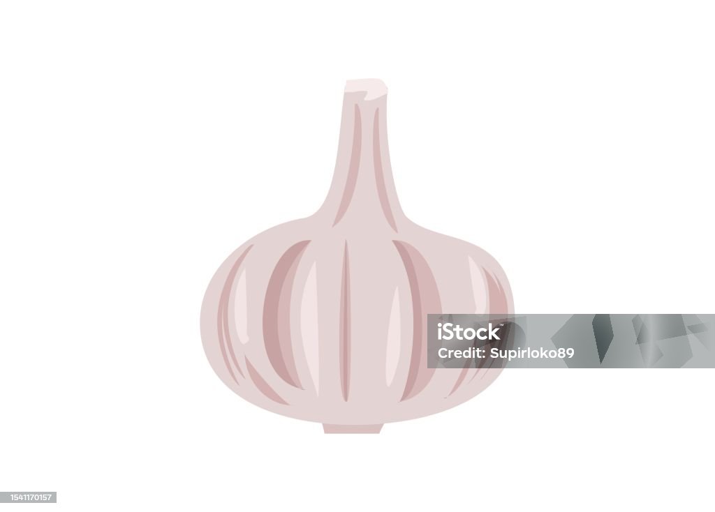 Garlic Simple Graphics Whole Garlic Simple Flat Illustration Stock Illustration - Download ...