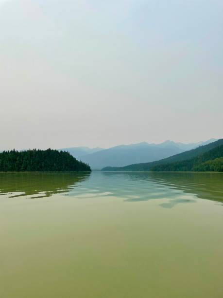 lago de lama, rio azul, bc, canadá - mud terrain - fotografias e filmes do acervo