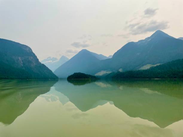 mud lake, bc, canadá - mud terrain - fotografias e filmes do acervo