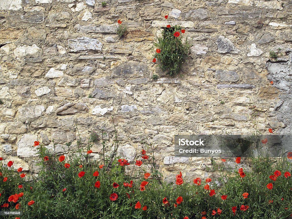 poppies sobre fondo de ladrillo rojo - Foto de stock de Aire libre libre de derechos