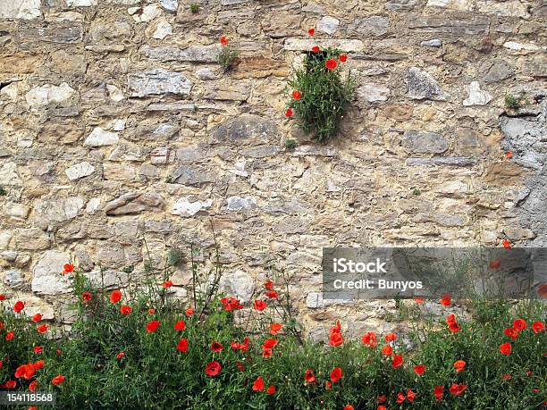 Poppies Su Sfondo Di Mattoni Rosso - Fotografie stock e altre immagini di Ambientazione esterna - Ambientazione esterna, Calcestruzzo, Close-up