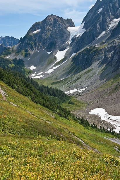 Meadows Below Sahale Arm The North Cascades is a vast wilderness of conifer-clad mountains, glaciers and lakes. It is one of the more remote wilderness areas in the Continental United States. This view of the wildflower meadows was photographed from Sahale Arm in North Cascades National Park near Marblemount, Washington State, USA. jeff goulden north cascades national park stock pictures, royalty-free photos & images