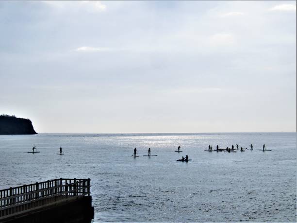 Boso peninsula, Chiba prefecture.