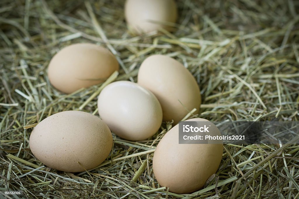 Œufs bio préparés sont présents dans tous les types de cuisine - Photo de Aliment libre de droits