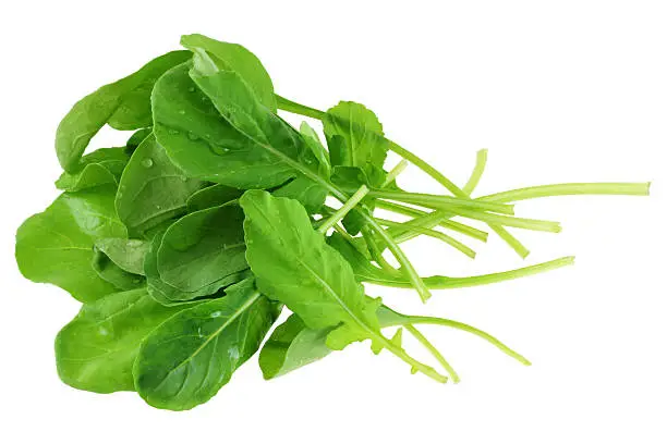 Closeup photo of Fresh organic Garden Rocket Salad, isolated on white background