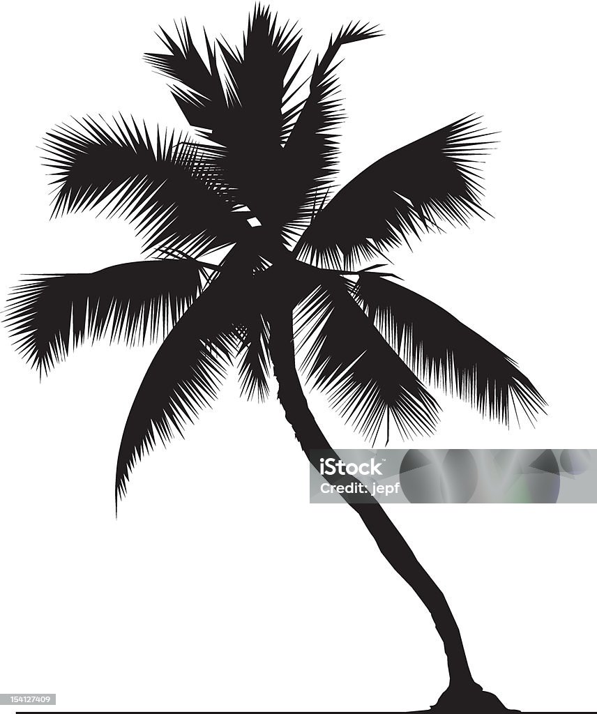 Kokospalme - Lizenzfrei Baum Vektorgrafik