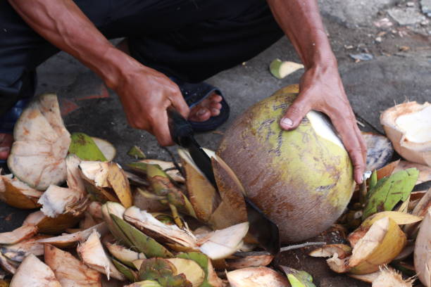 the man peeling coconut, open coconut skin hard with traditional methods, An asian man seller peeling coconut