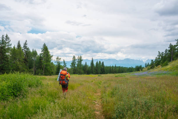 Traveling man in red with big backpack on way to high mountain range in low clouds. Backpacker walks through forest to large mountains under cloudy sky. Dramatic landscape with tourist in mountains.