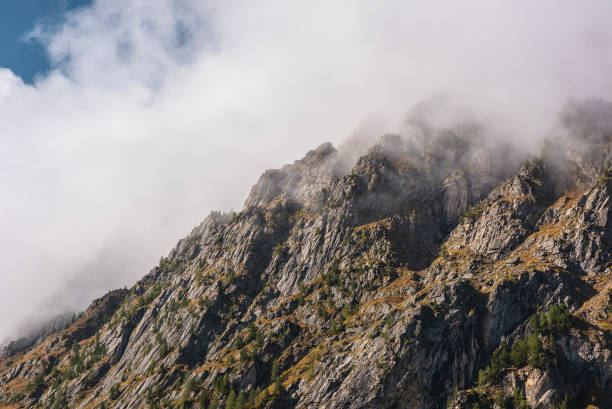istock Misty autumn landscape with coniferous trees on sunlit sharp rocks of large mountain range in low clouds. Fading autumn colors in high mountains. Firs on rocky mountain wall in foggy sunny morning. 1541314736