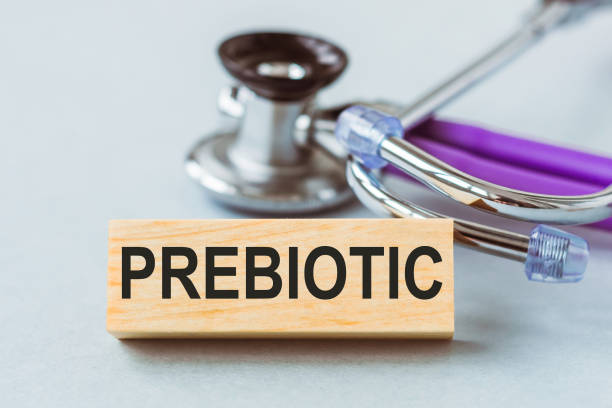 istock Prebiotic word written on wooden next to a stethoscope on white surface. 1541324940