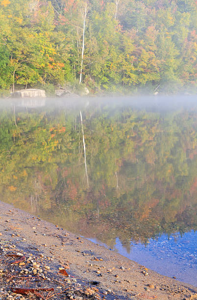 birch et de la plage - adirondack mountains adirondack state park air landscape photos et images de collection