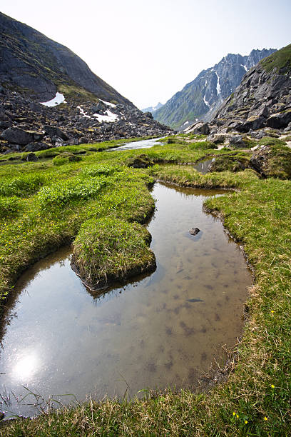 Tundra Stream stock photo