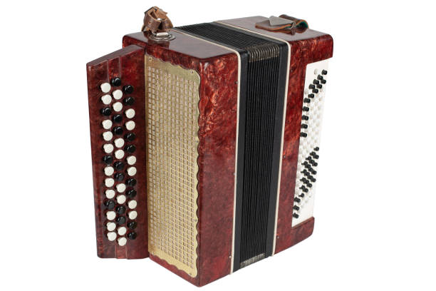 istock Small retro bayan (accordion). Folk musical instrument. 1541367477
