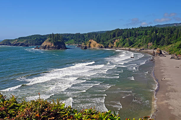istock Looking Down on a Northern California Beach 154140588