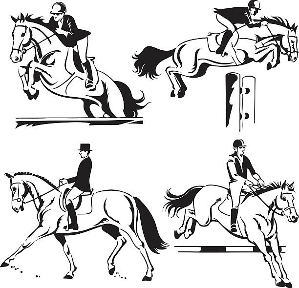 Equestrian - Show Jumping and Dressage Line Illustration of Four Horses performing Show Jumping and Dressage.Each Horse on Separate Layer. High resolution JPG and Illustrator 0.8 EPS included. equestrian show jumping stock illustrations