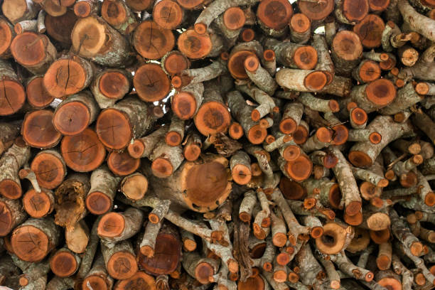 stos drewna opałowego - wood cutting chopping fireplace zdjęcia i obrazy z banku zdjęć