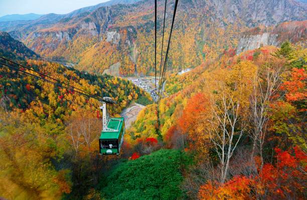 une vue imprenable depuis un téléphérique de kurodake survolant les forêts d’automne colorées à flanc de montagne dans les gorges de sounkyo (層雲峡) dans le parc national de daisetsuzan (大雪山), à kamikawa, hokkaido japon - parc national de daisetsuzan photos et images de collection