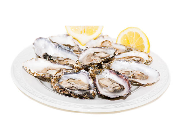 istock Oysters and lemon on white background 154151358