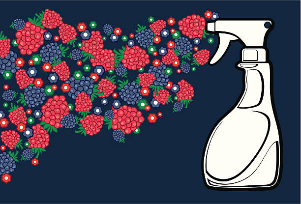 Raspberry Spray vector art illustration