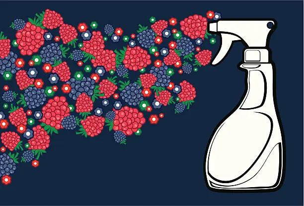 Vector illustration of Raspberry Spray