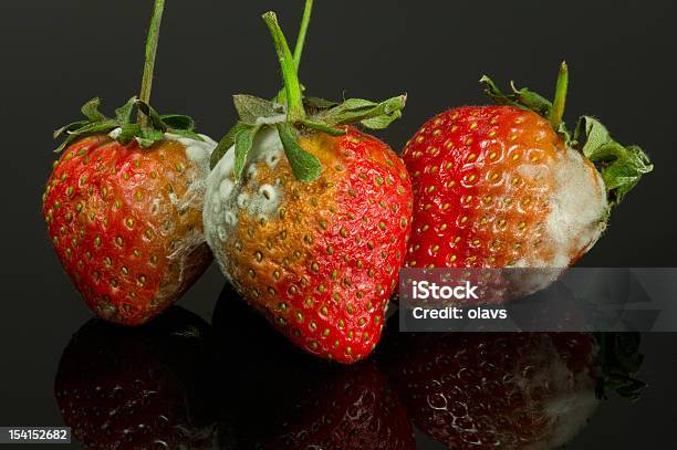 Trzy Gnijący Truskawki - zdjęcia stockowe i więcej obrazów Fotografika - Fotografika, Gleba, Gnijący