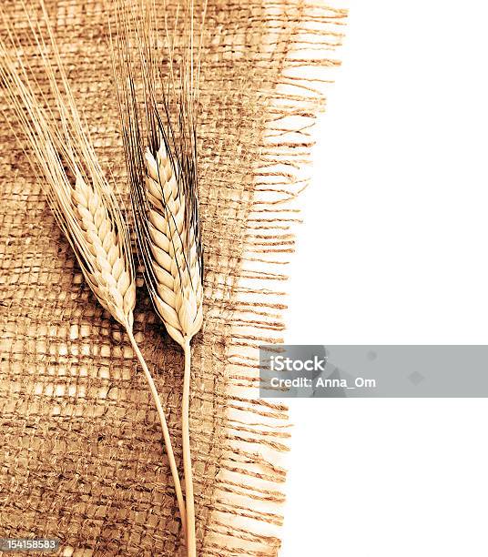 Пшеница Border — стоковые фотографии и другие картинки Без людей - Без людей, Вертикальный, Время года