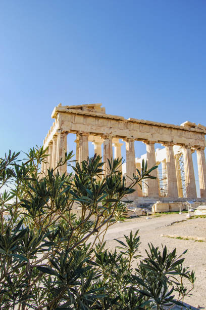 istock Parthenon in Acropolis, Athens Greece 1541627089