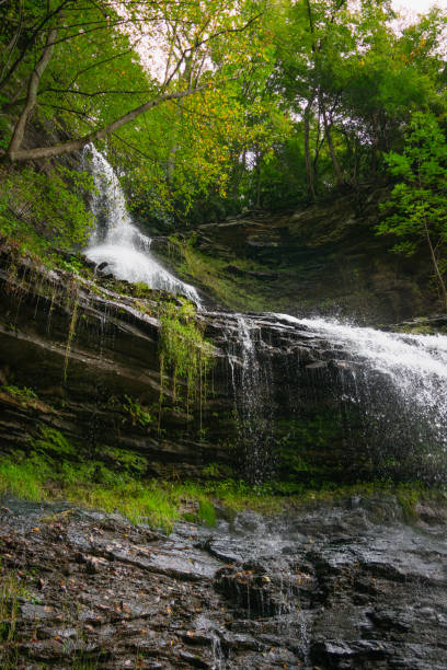 istock Cathedral Falls in Gauley Bridge, West Virginia 1541651202