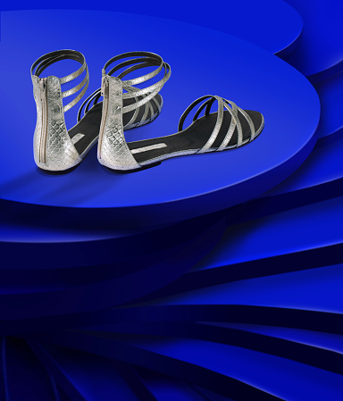 Chic women's shoes on a chic blue layered background
