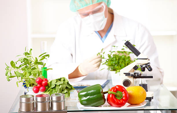 istock Researcher with GMO plants  in the laboratory 154170303