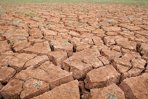 Drought stock photo