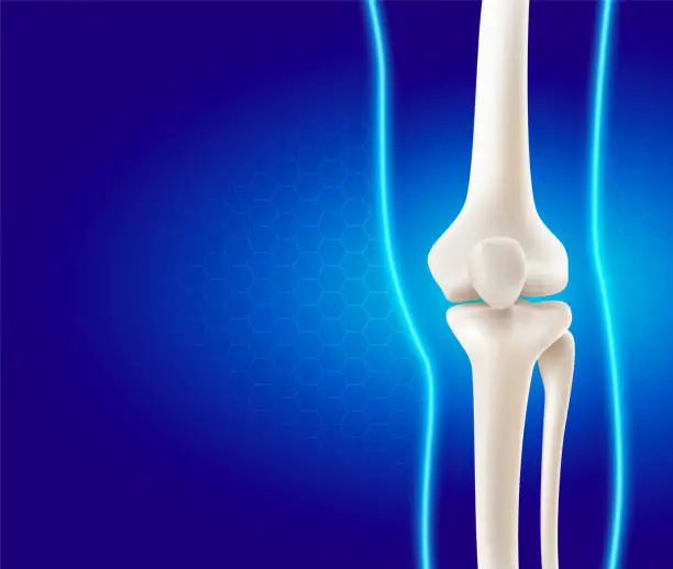 Vector illustration of Human leg and knee bones