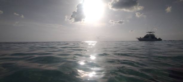 Morze Karaibskie o zmierzchu – zdjęcie