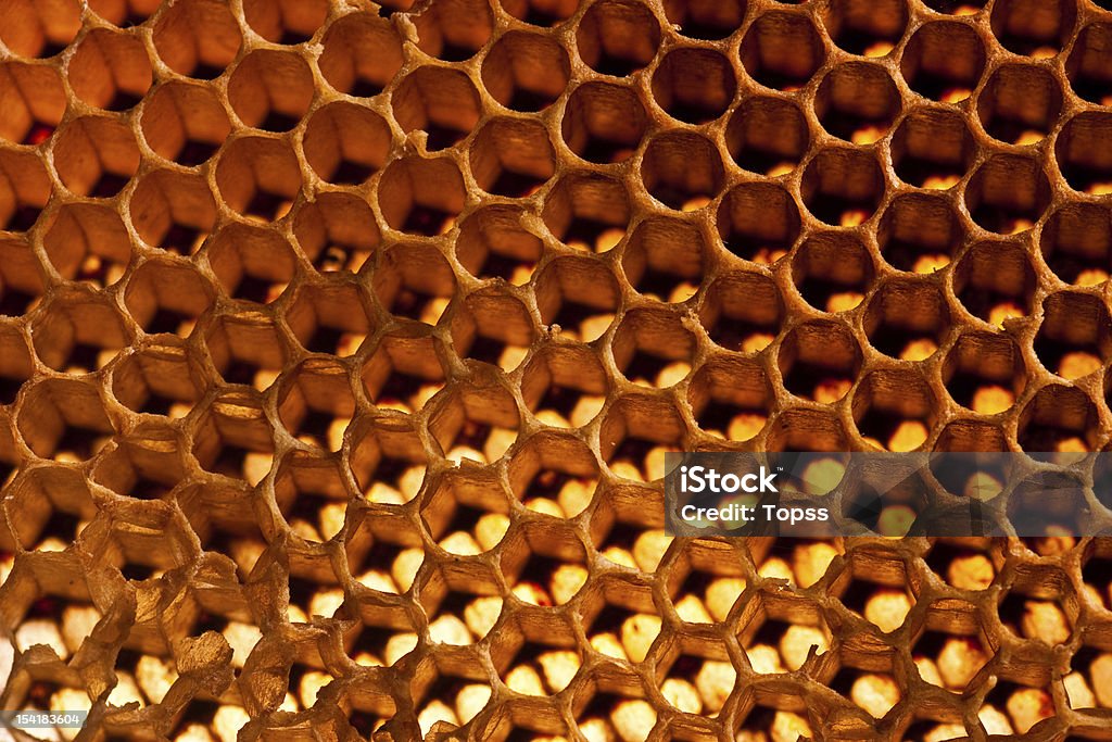 honeycomb honeycomb background Backgrounds Stock Photo
