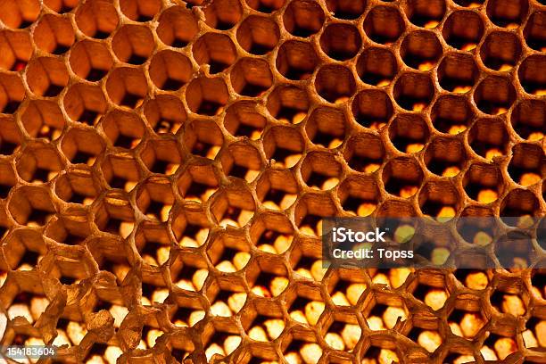 Honeycomb Stock Photo - Download Image Now - Backgrounds, Bee, Beehive
