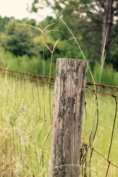 istock Wooden fence post in a vast meadow 1541865935