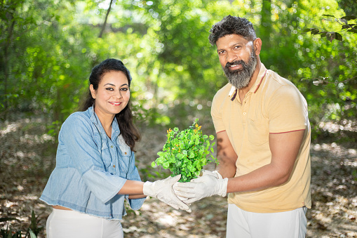 Portrait of happy indian couple wearing gloves holding plant outdoor garden activity. planting tree to save environment and reforestation concept.