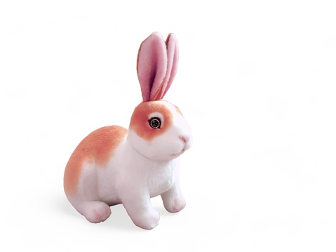 Orange white rabbit doll on white background