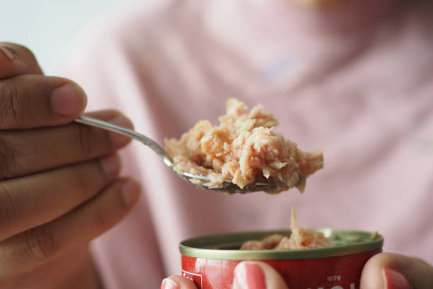 spoon pick canned tuna closeup