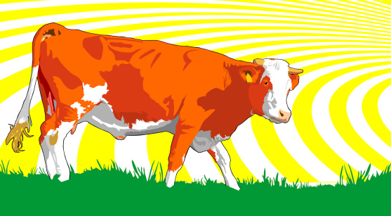 cow farming sign