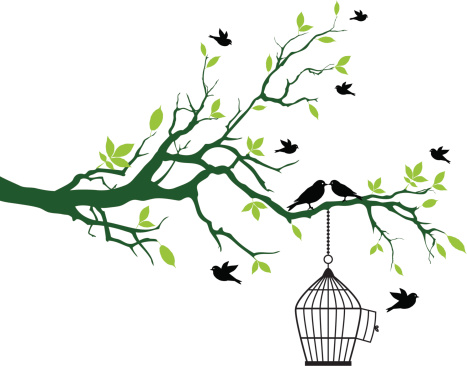 green spring tree with open birdcage and kissing birds, vector background