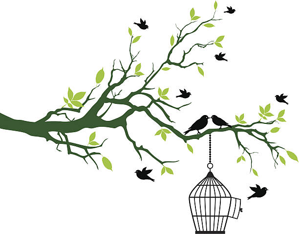 spring tree with birdcage and kissing birds - 鳥籠 幅插畫檔、美工圖案、卡通及圖標